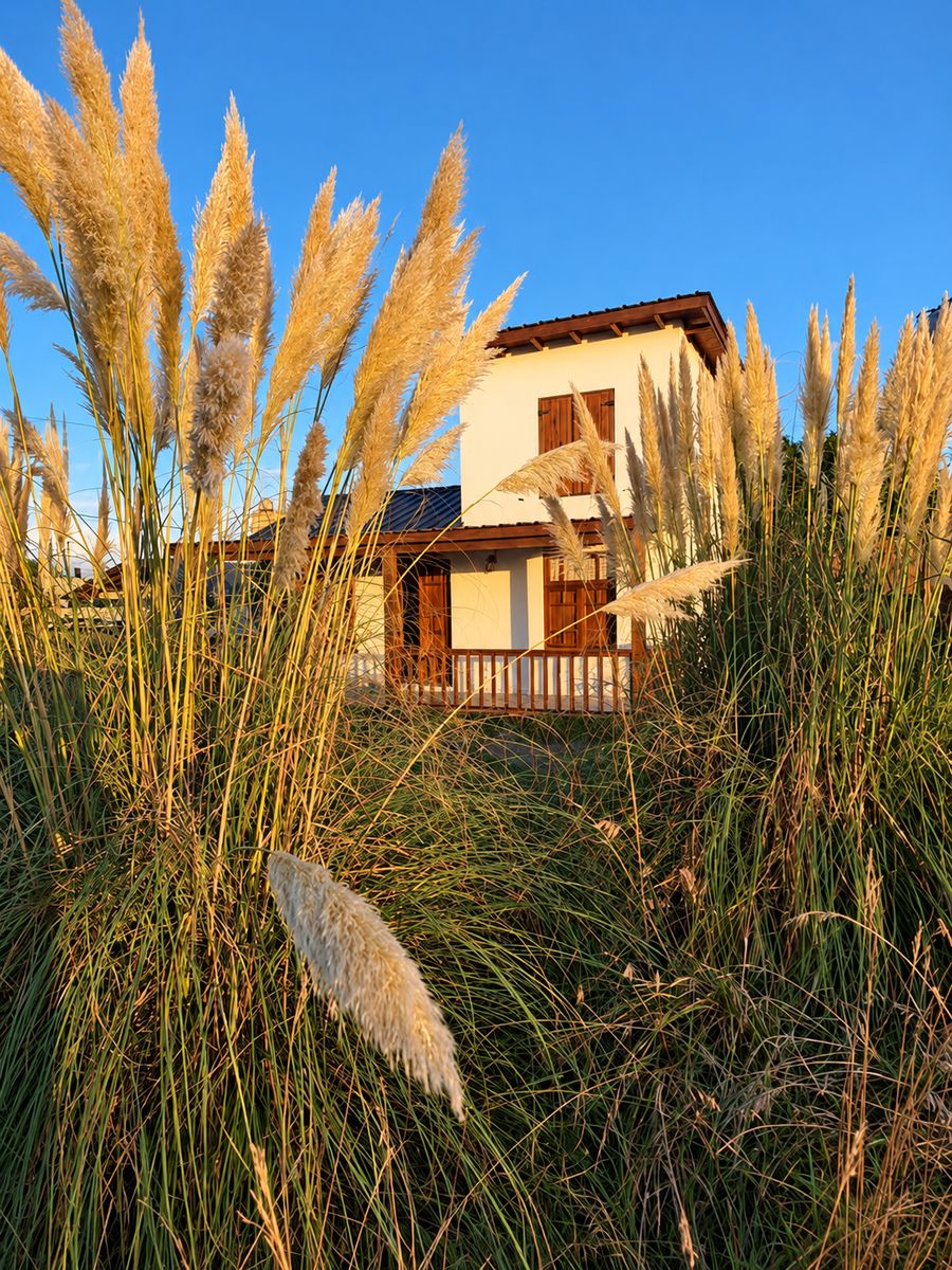 La cabaña entre cortaderas al atardecer